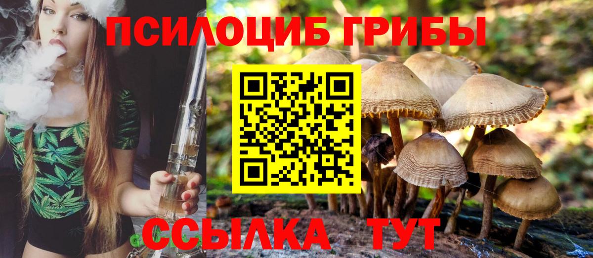 Топки  Псилоцибиновые грибы MAGIC MUSHROOMS  Вход с VPN 