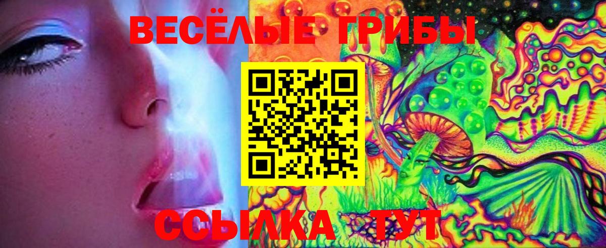 Псилоцибиновые грибы прущие грибы Топки