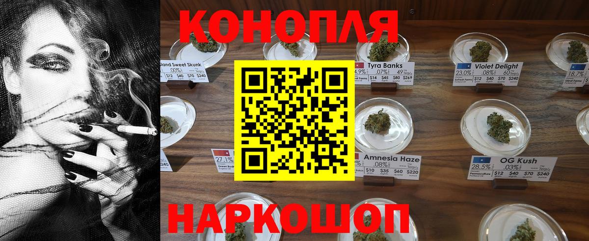 Каннабис планчик Топки